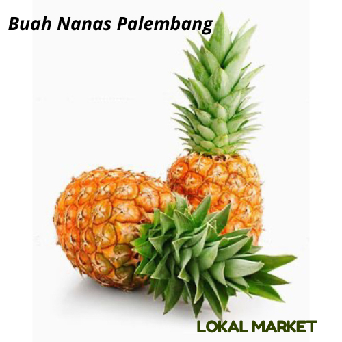 

Lokal Market | Buah Nanas Palembang 1 buah