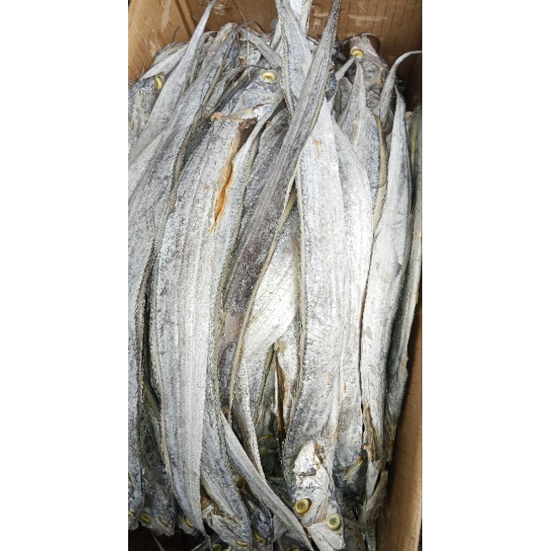 

ikan layur jumbo kemasan 250 gram - 1 kg