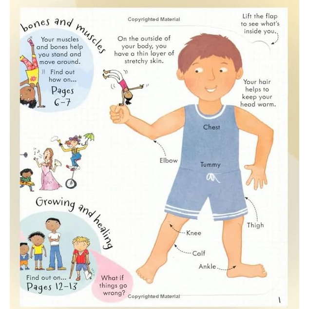 

RB [ABCKIDS] SEGEL Usborne Look Inside Your Body - Imported Book - Buku Impor Edukasi Anak - Anggota