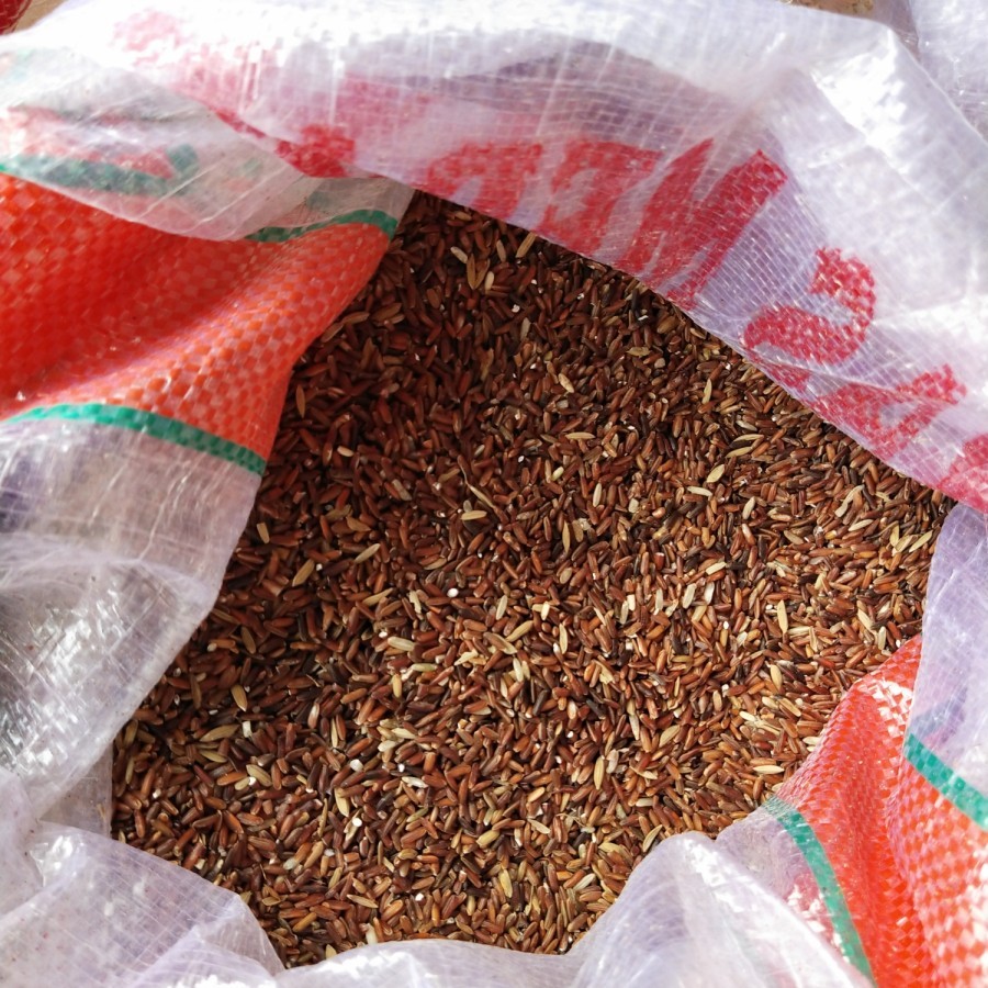 Beras Merah Pakan Makanan Ayam,Burung Dara, Tekukur, Merpati