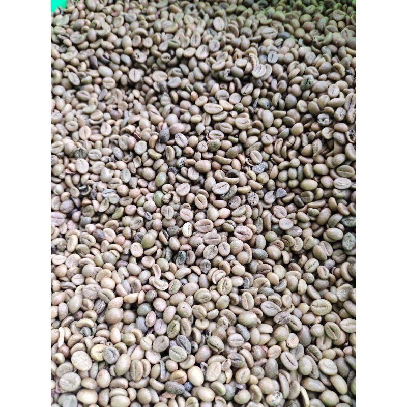 

BIJI KOPI MENTAH ROBUSTA ORIGINAL ASLI JAWA TIMUR IJEN