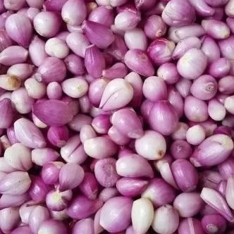 

BAWANG MERAH KUPAS (250gr - 500gr)