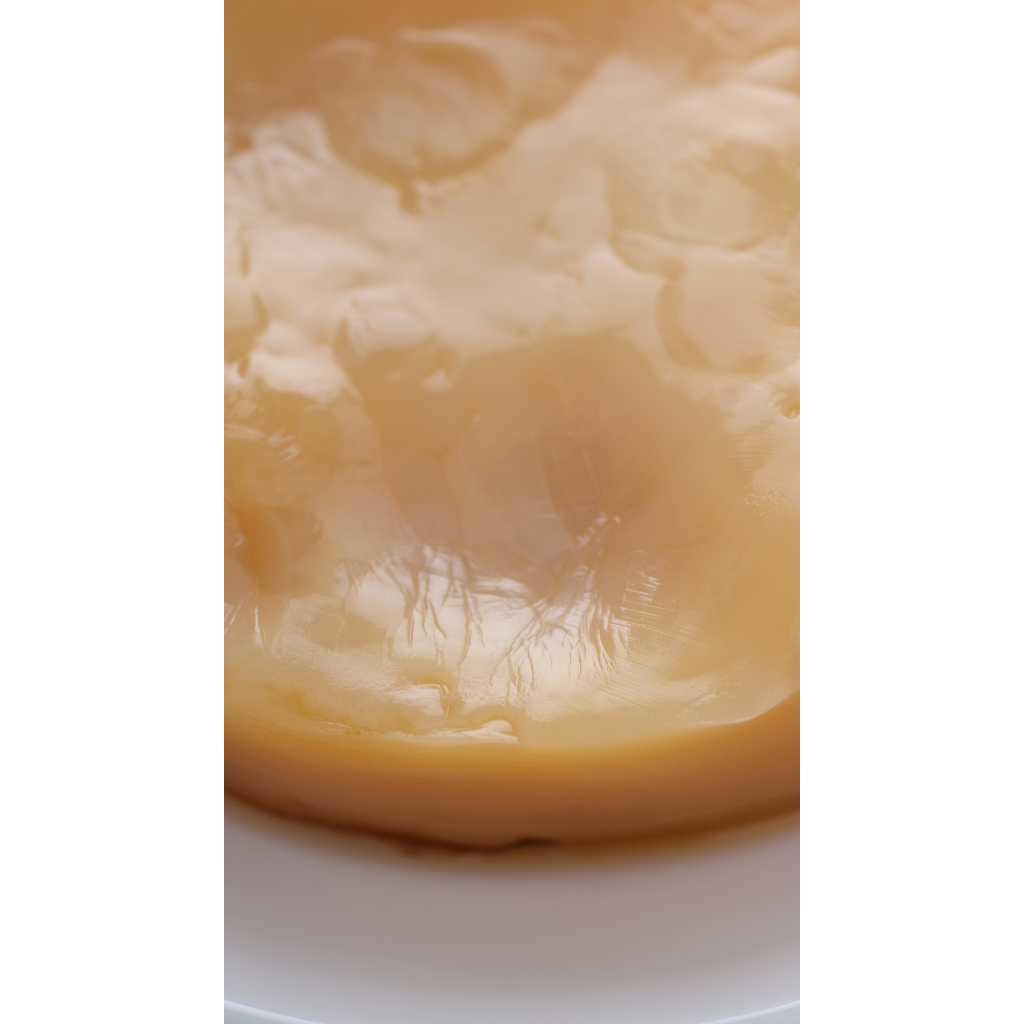 

Jamur Kombucha Dipo by ramuracik.id (Jamur Dipo dan Starter)