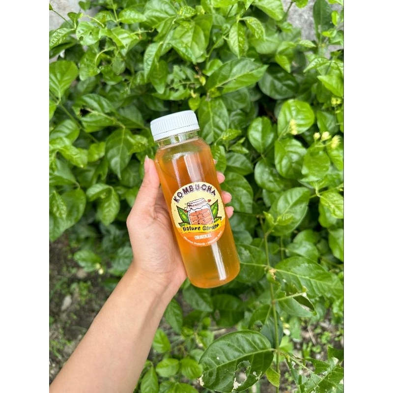 

Kombucha Original 250ml (Minuman Probiotik) by Nature Garden