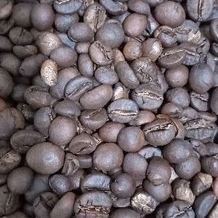 

Kopi Murni Roast Bean (Kopi Sangrai) Robusta Sendang Wilis Tulungagung.