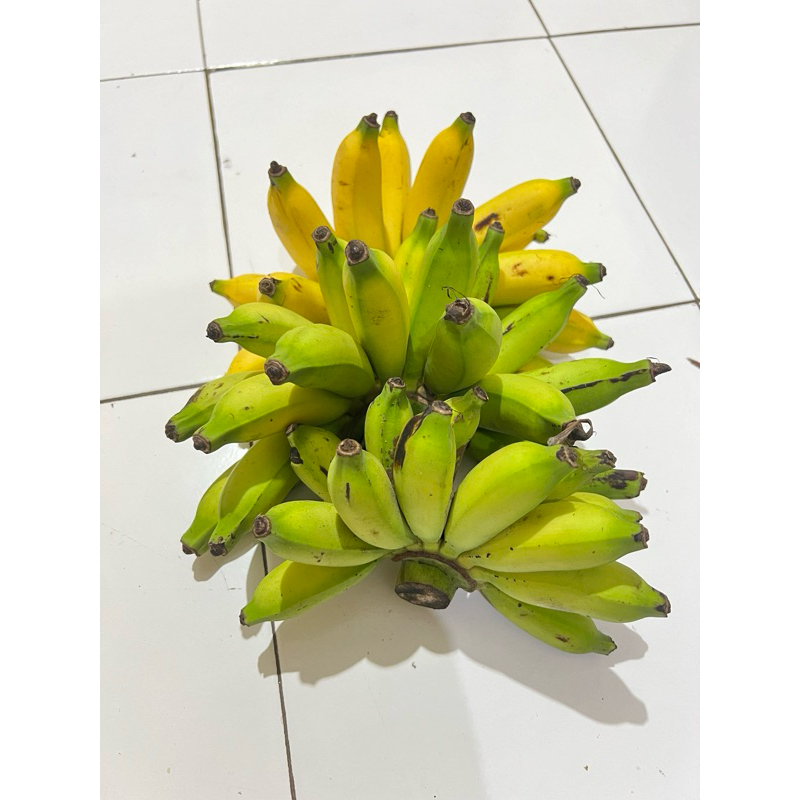 

PISANG ULIN / PISANG MAS