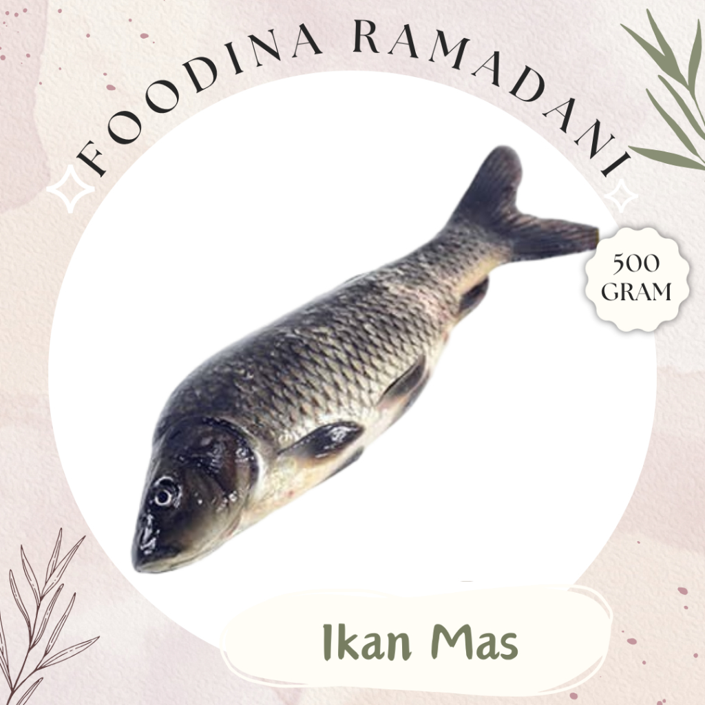 

IKAN MAS Karper - Carp Fish Fresh [ Berat 500gr ] Harga Per 0,5 Kg