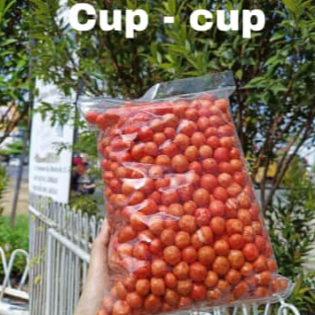

CUP CUP
