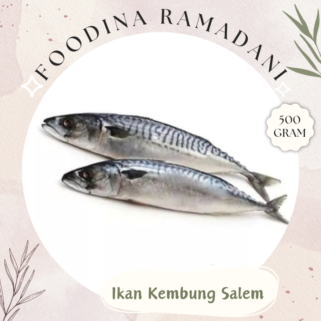 

IKAN KEMBUNG Salem Sarden - Mackerel Fish Fresh [ Berat 500gr ] Harga Per 0,5 Kg