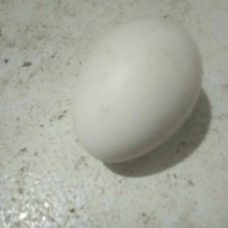 

telor ayam jowo