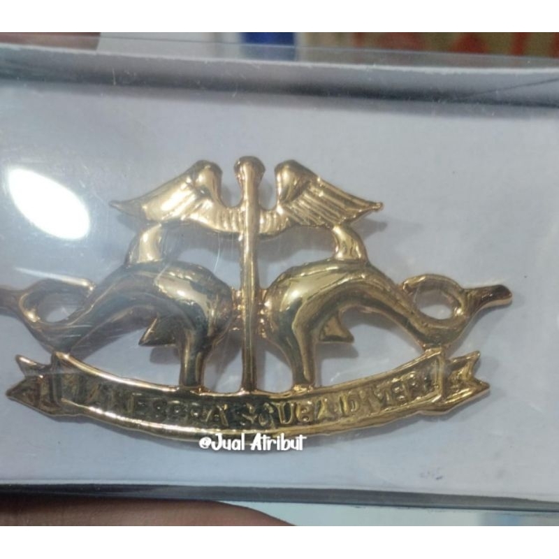 brevet Lakespra Scuba Diver