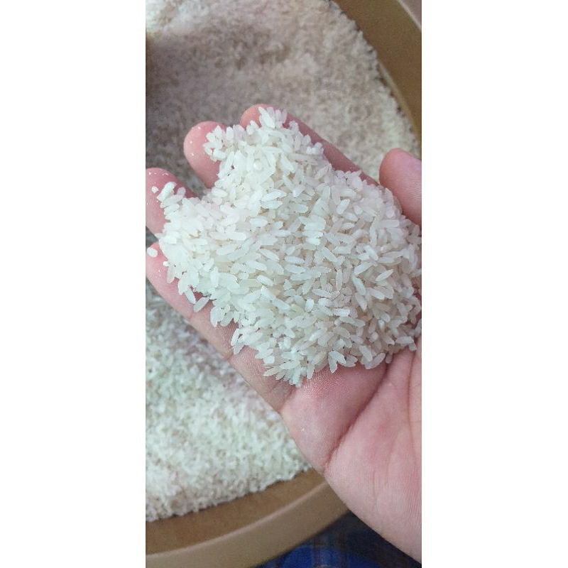

beras banjar,beras usang,beras karau,beras r42