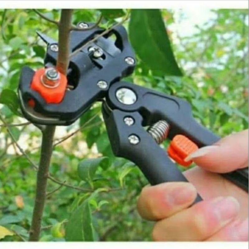 

Gunting Okulasi Tanaman Guting Sambung