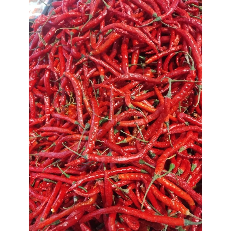 

Cabe merah keriting 100gr | 250gr seperempat