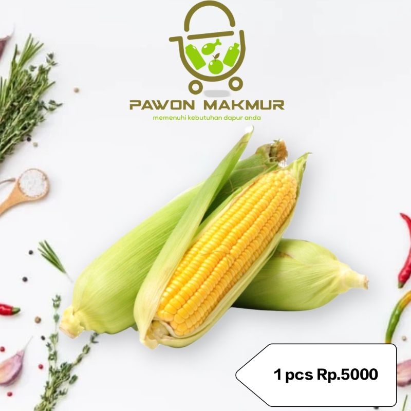 

JAGUNG MANIS PER PCS