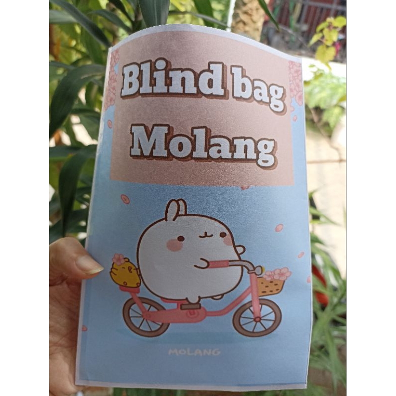 blind bag molang squishy paper