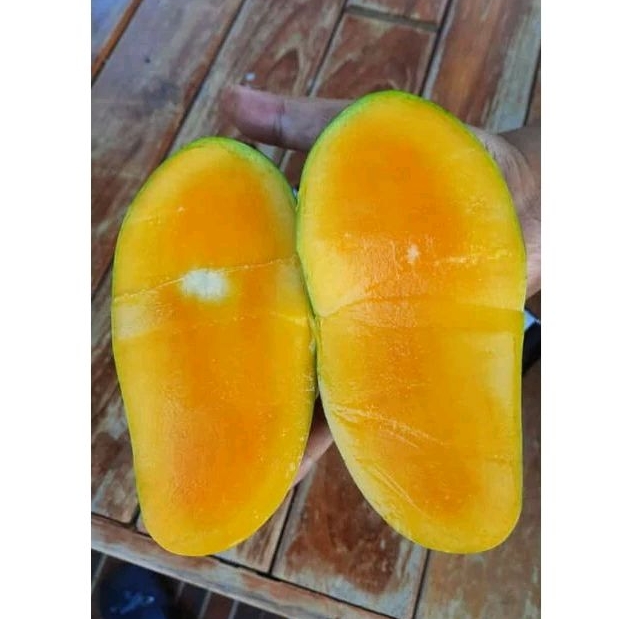 

Buah mangga khiojay per 1 kg mangga premium import Thailand daging tebal biji tipis petik tua langsung hasil kebun
