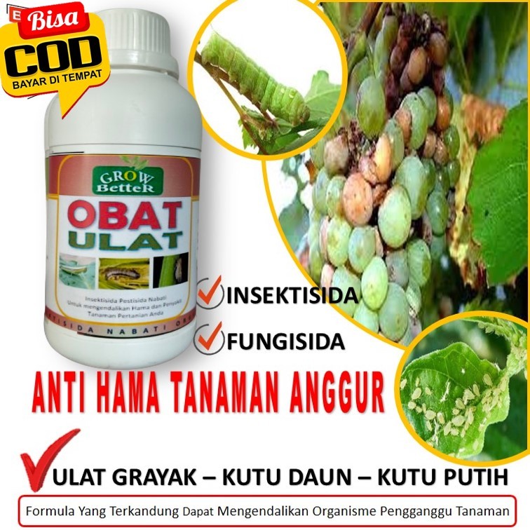 Pestisida Nabati Organik Pengendali Hama Pembasmi Hama Ulat Daun Ulat Grayak kutu tanaman anggur