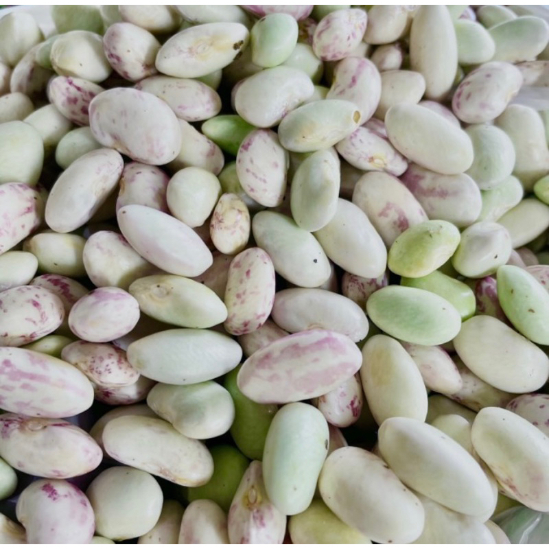 

kacang endul / kacang ndul / kacang nul