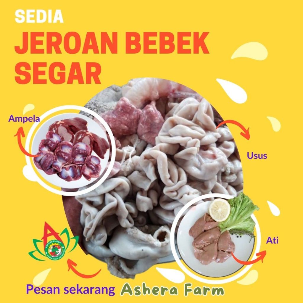 

JEROAN BEBEK SEGAR (KG)