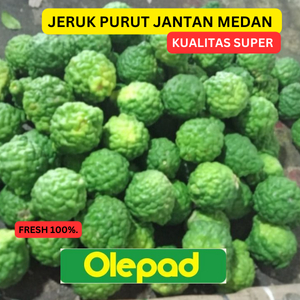 

JERUK PURUT JANTAN ASLI MEDAN BESAR UNTE PANGIR