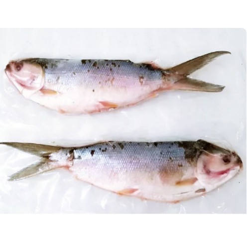 

Ikan Bandeng Tanpa Duri 300gr | Bandeng Fillet Frozen Food