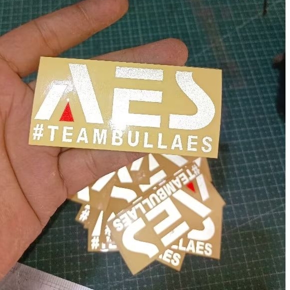 

sticker AES Teambullaes