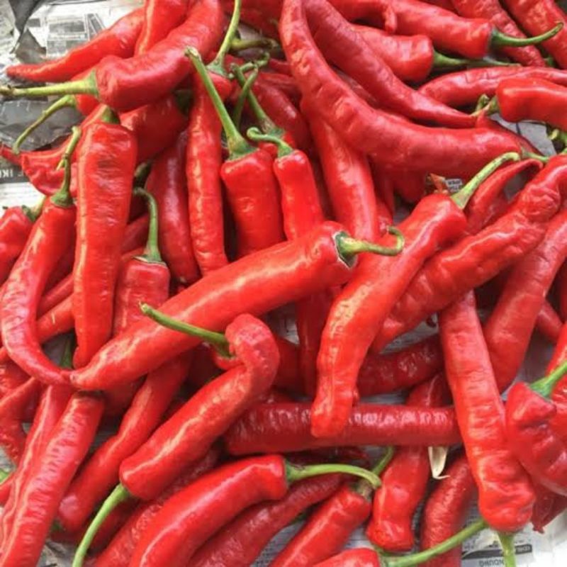 

CABE MERAH BESAR / CABE MERAH TANJUNG FRESH