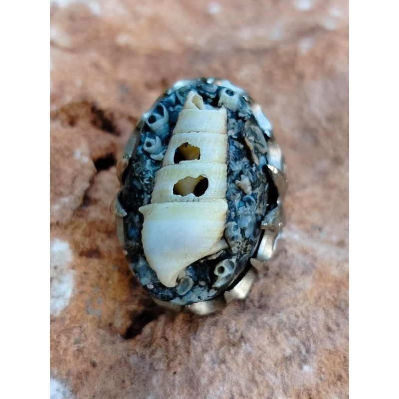 batu akik mustika keong