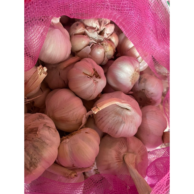 

BAWANG PUTIH 500gr