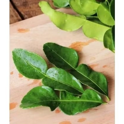 

DAUN JERUK FRESH Per Pack