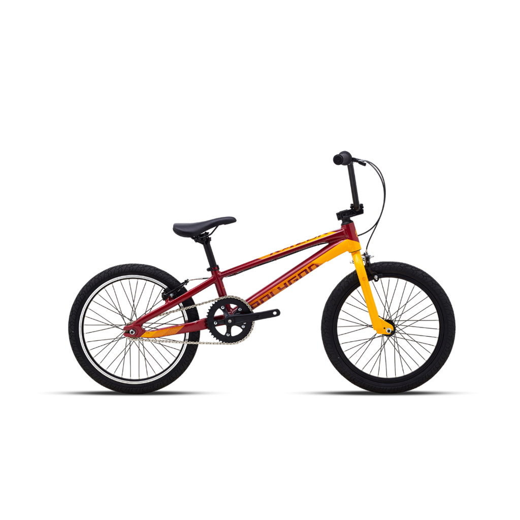 Sepeda Anak Polygon Razor