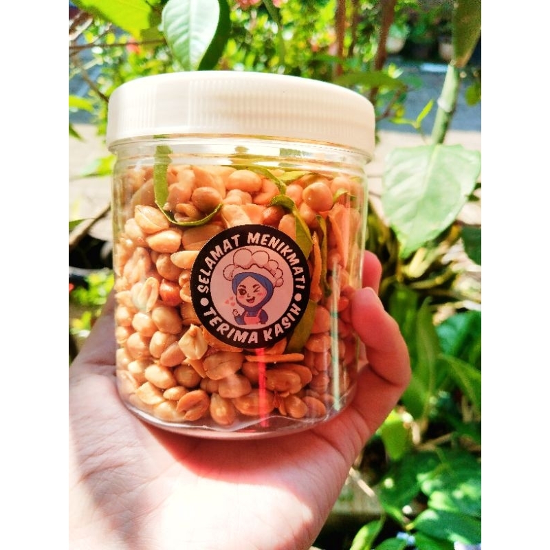 

Kacang Plintis Matang, Ukuran Kecil