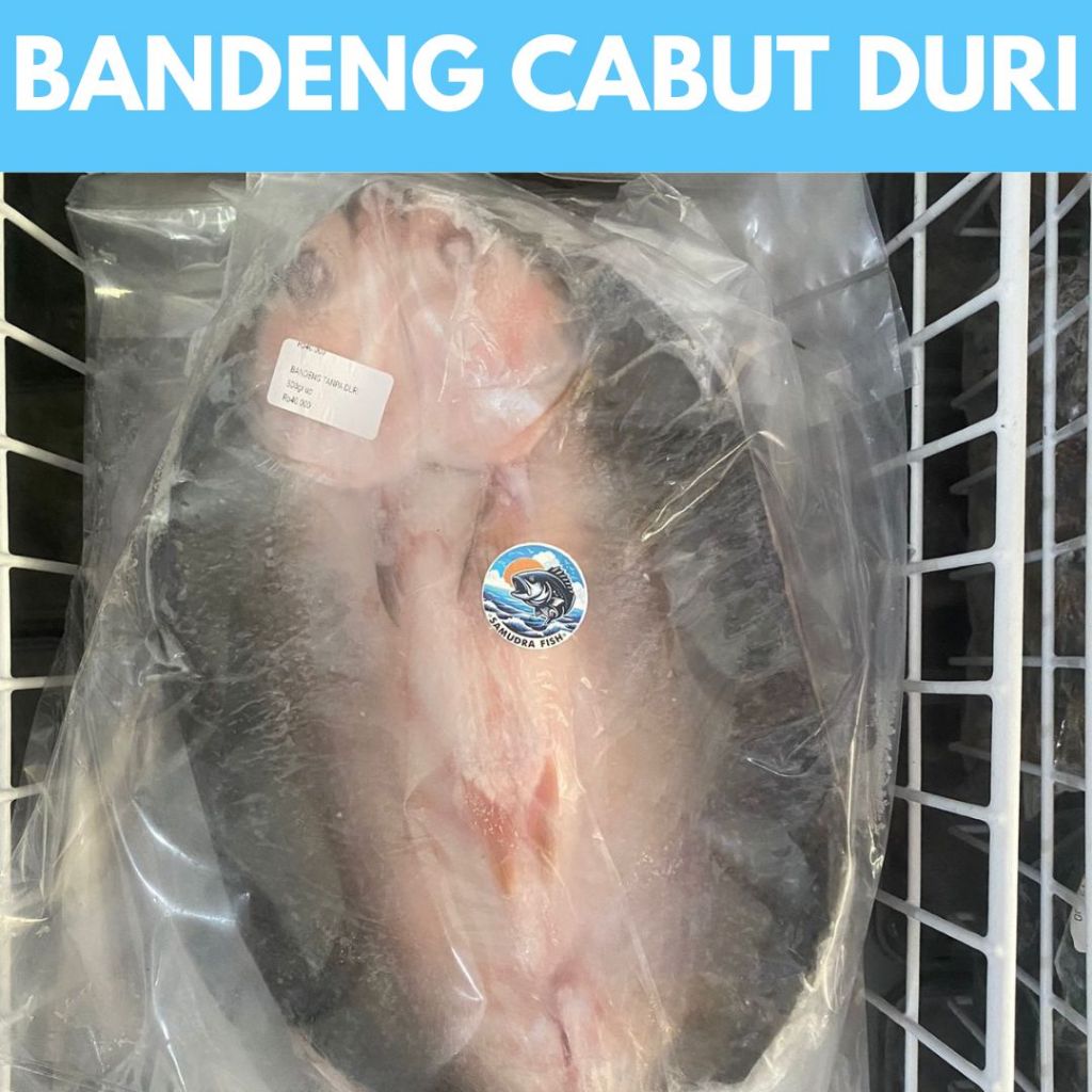 

Bandeng Cabut Duri 1pack | Ikan Semarang | Beli Ikan Segar Semarang | Belanja Ikan Semarang