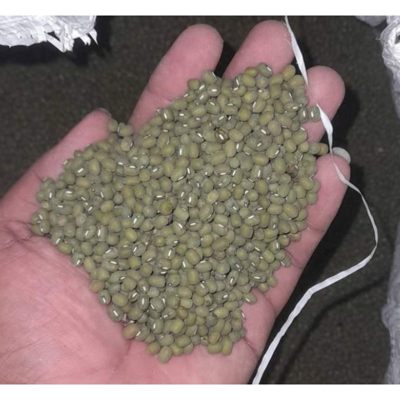 

100g kacang ijo baru.