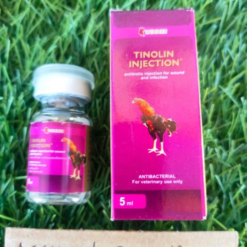 Tinolin Inject Untuk Infeksi Bekas Jalu + Suntikan