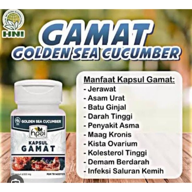 gamat hni
