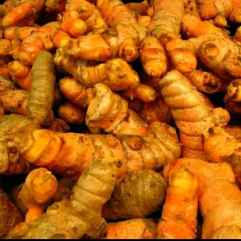 

kunyit/kuning perkilo geram