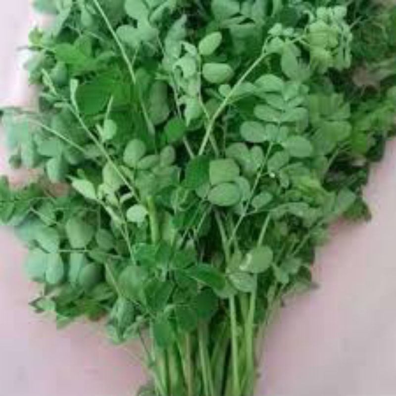 

sayur daun kelor 1 ikat pasar samarinda