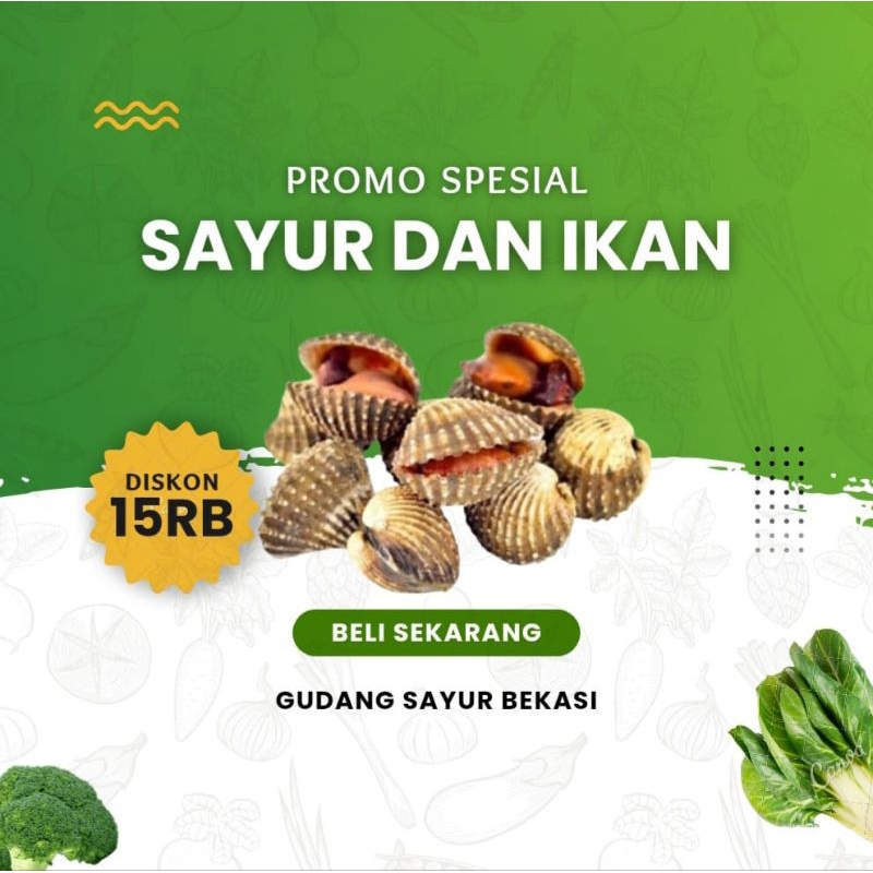 

Kerang Dara Utuh 500 gr