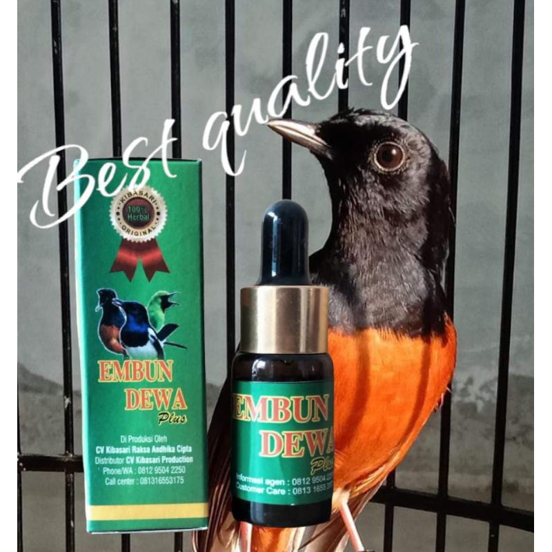 EMBUN DEWA PLUS SOLUSI MEMEPERBAIKI MENTAL BURUNG JUARA