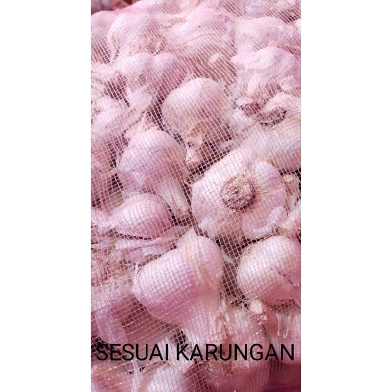 

RB Bawang Kating SUPER 5 Dan 10 Kg
