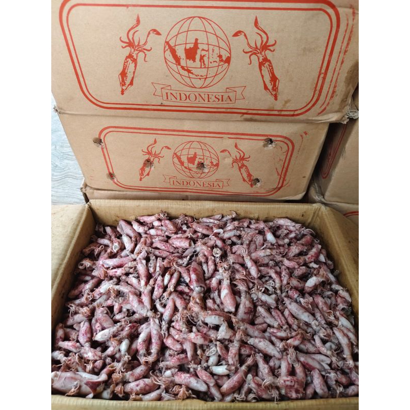 

Cumi Asin 500 gr