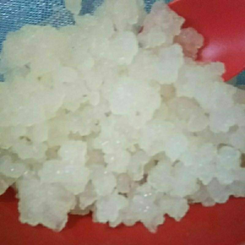 

ALZbehalthy Bibit water kefir kristal alga jepang