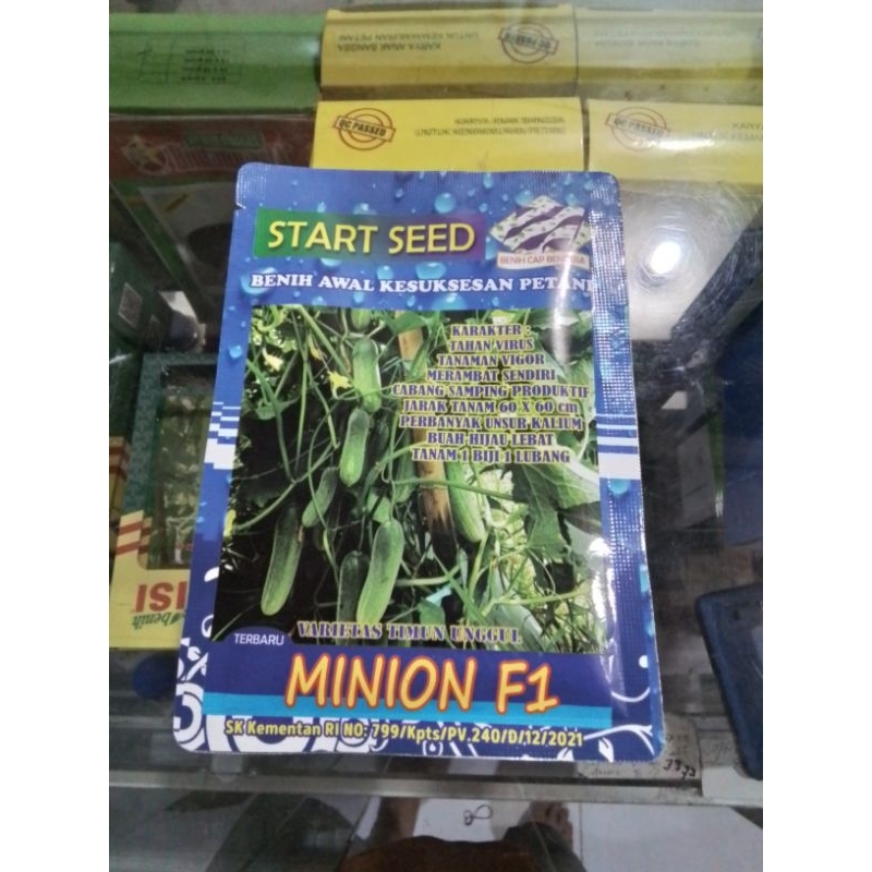 Benih Timun MINION F1 20gr