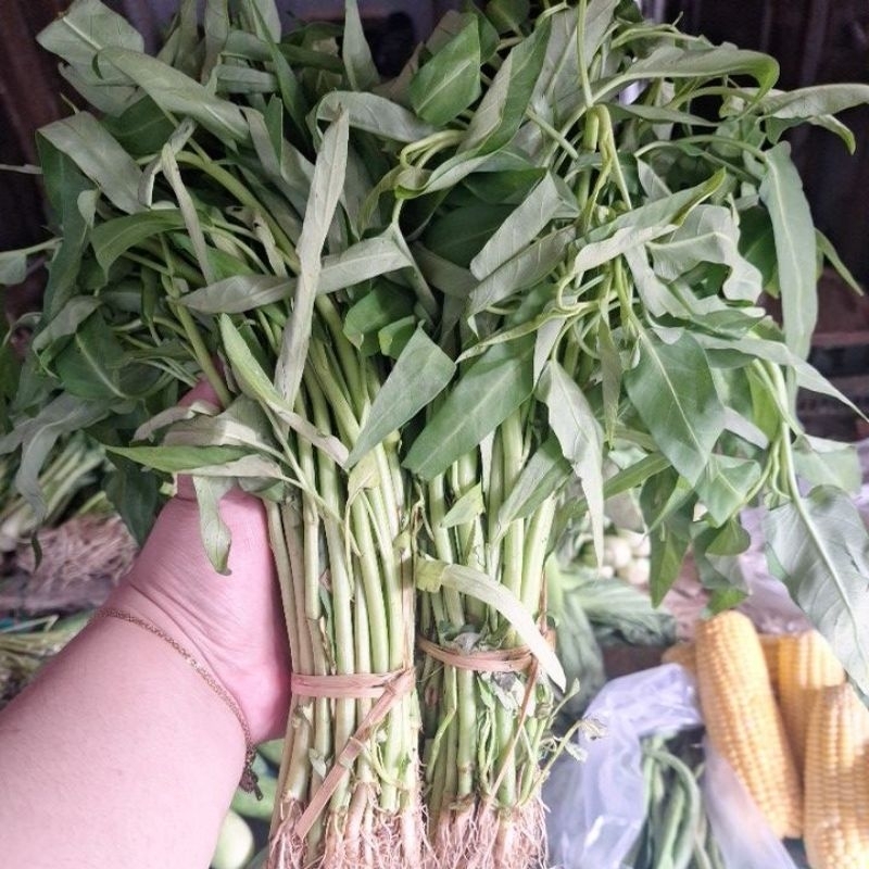 

kangkung/bayam