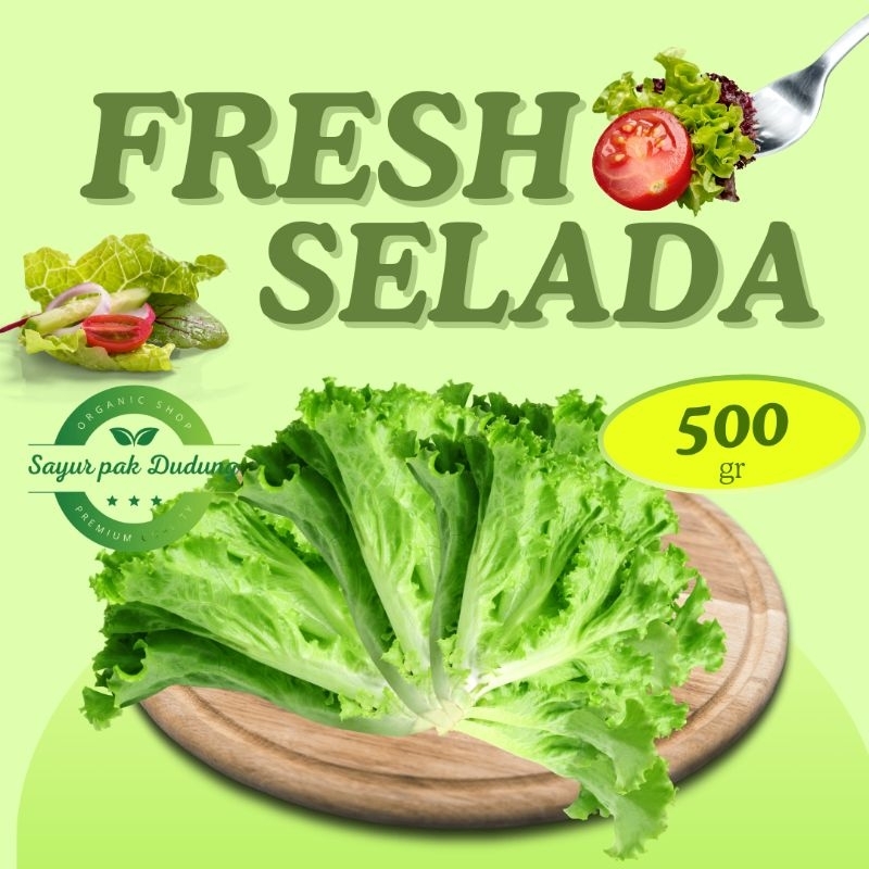 

sayur selada fresh 500gr