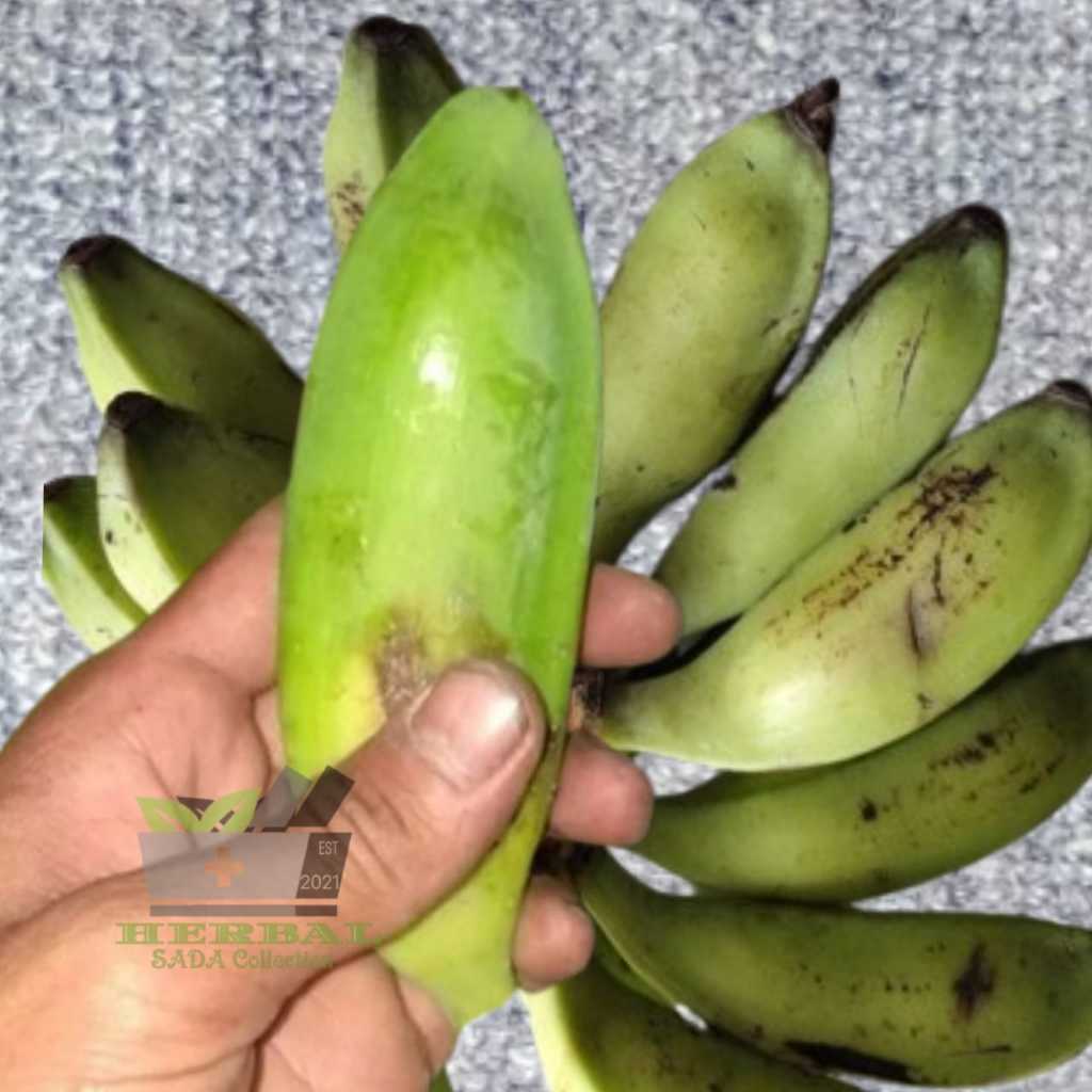 

Jual Pisang Batu Klutuk Segar 500 gram