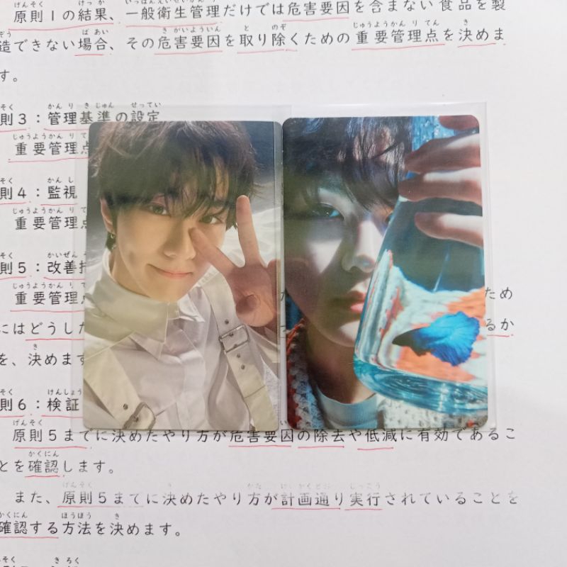 [ready] pc jungwon senkou you white limited lim a b cimol cupang peace