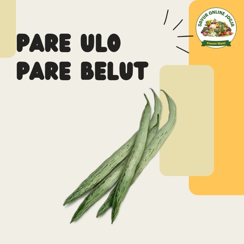 

Pare ulo pare belut per buah - PAWON MAMI SAYUR ONLINE JOGJA